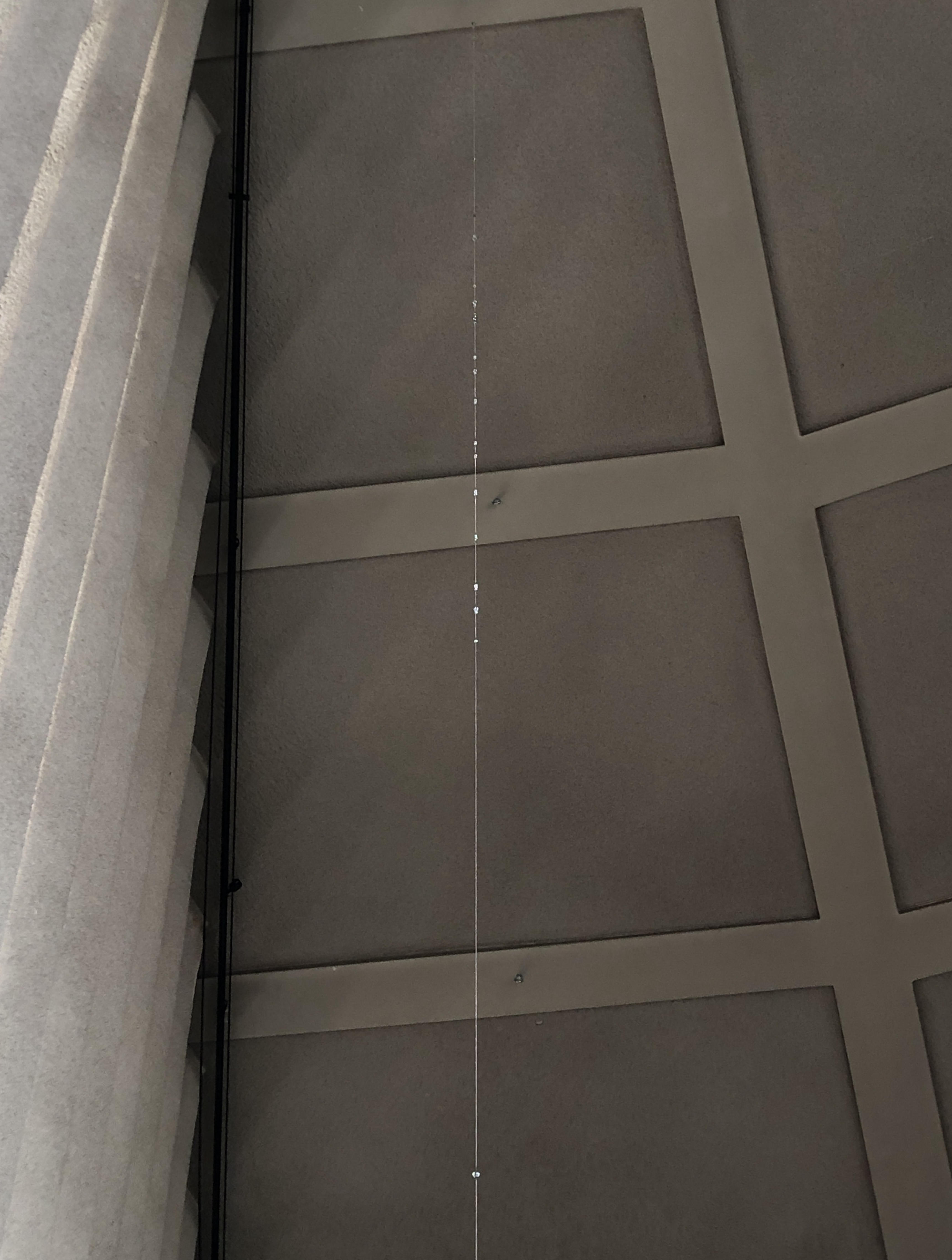 spine x 4.jpg